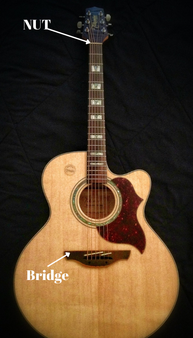 Parts of Guitar
